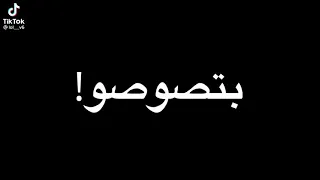 هذي ناموسه بنت كلب بتهوهو دندنها