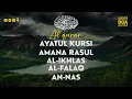 Download Lagu AYATUL KURSI, AMANA RASUL ( BAQARAH 285-286 ), IKHLAS, FALAQ, NAS ✦ Quran For Sleep ✦ Marvelous Dua