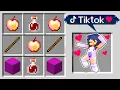 HOW TO CRAFT APHMAU Using The TIKTOK MOD In Minecraft