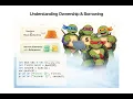 Mastering Rust Arrays and Vectors Vec T