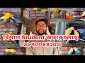 Lagu ব্রিডিং সিজনে Student অফার চলছে ধামাকা #birds #lovebirds #parrot #pets #cocktail #funny #love 