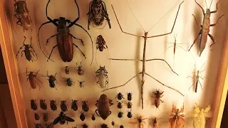 gut check ethan meixsell no copyright music 