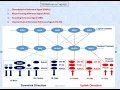 Reference Signals 5G