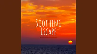 آشفتگی عاطفی دندنها