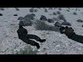 Download Lagu Arma 3: Red Army Patratroopers ambush Mujahideen 86