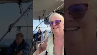 Sailing Frida af Wisby streamar live!