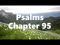 The Book of Psalms Chapter 95 - New King James Version NKJV
