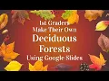 Deciduous Forest Diorama