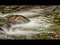 Franky Wah - The Otherside feat Robinson (Original Mix) [MELODIC HOUSE & TECHNO / SHÈN Recordings]