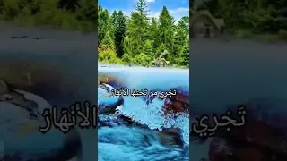 الشيخ سيد سعيد تلاوه خاشعه ولنعم دار المتقين  الشيخ سيد سعيد تلاوه خاشعه ولنعم دار المتقين