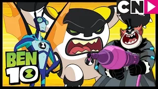 بن      أكبر سرقة في التاريخ   كرتون نتورك دندنها