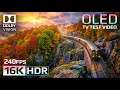 Lagu Most Colorful Nature in 16K HDR Dolby Vision 240fps (4K / 8K TV)