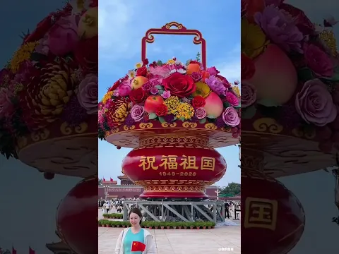 Blumenkorb oder Blumenmeer? Der Größenvergleich ist der Hammer! 🌸🧺