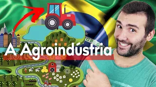 O AGRONEGÓCIO E OS COMPLEXOS AGROINDUSTRIAIS