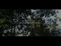 Download Lagu Cinematic vidio pendek ngopi di pagi hari, cocok untuk Story wa