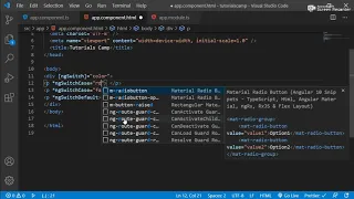 Angular 10 Switch Case directive