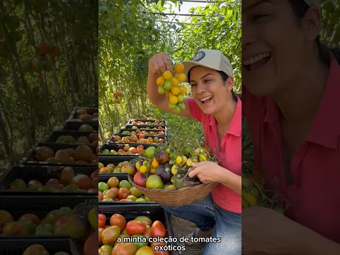 Me diz aí qual desses tomates você nunca tinha visto?!