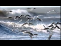 Lagu Birds over the Sea (Endless Ocean Mix) -  Vladi Strecker
