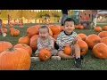 Pumpkin Patch Adventures Feeding Giraffes Hayride Fun