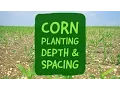 Corn Planting Depth and Spacing