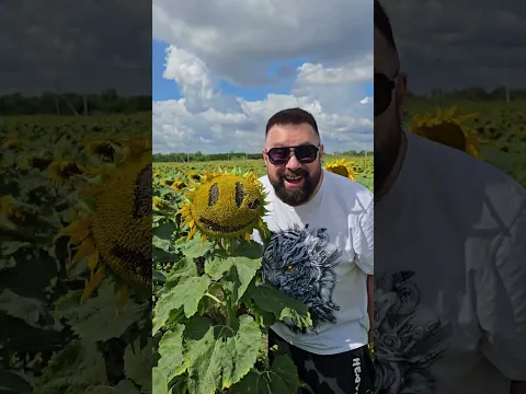 Подсолнух "Улыбка"