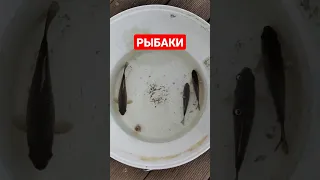 РЫБАКИ 