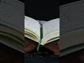 Download Lagu The Holy Quran surah Al-Masad in the voice of : Reciter Saad Al Ghamdi