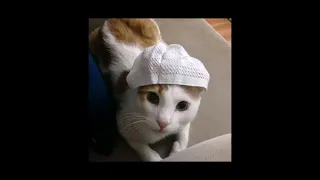 opick tombo ati speed up 