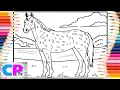 Appaloosa Beautiful Horse Eats the Grass Near the Process