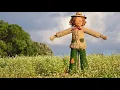 Introduction to Mocking