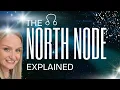 The North Node Your Purpose How Your Birth Chart Reveals Your Soul Path