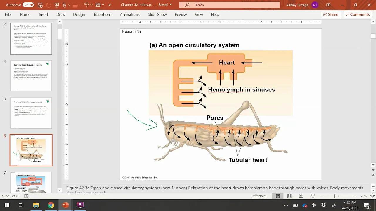 BIOL 1407 Chapter 42 Part 1