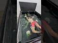 I Turned my Bed into a Fish Tank