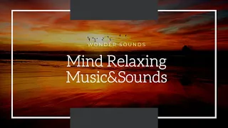 Download Mind Relaxing Sounds in Nature | Wonder Sounds for relaxation, Sleeping,Studying,or meditation MP3