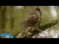 GIFS WITH SOUND FAN FRIDAY WEEK 48 Funniest Gifs with sound submitted November 2015
