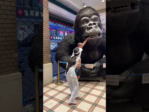 Big Gorilla ~New Viral Gadgets, Smart Appliances, Kitchen Utensils/ Home Inventions #shorts