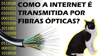 Como a internet é transmitida por uma fibra óptica?