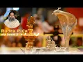 Download Lagu Rudra Puja \u0026 Satsang with Swami Ji