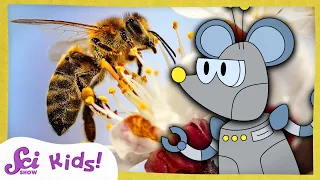 Download How Do Bees Make Honey | The Science of Food! | SciShow Kids MP3