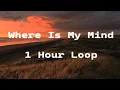 Download Lagu Maxence Cyrin - Where Is My Mind [ 1 Hour Loop ]
