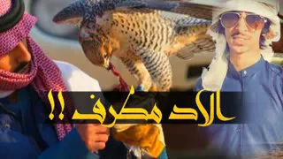 شيله المطارفه هذيل أداء فهد بن فصلا 