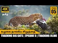 Download Lagu Tracking Jilme – De gierenjagende luipaard van de Masaai Mara | Tracking the Big Cats-serie | தமி...