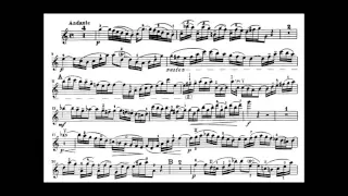 Bach J S Violin Concerto In A Minor BWV 1041 