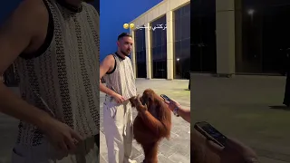 اجمل اغنيه مصريه 2025 مش قادره اكسبلور لميس كان المشير 