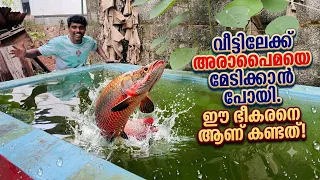 ഭീകരൻ അരാപൈമയെ കണ്ട് അപ്പു ഞെട്ടി 😳 #youtube