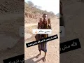 Download Lagu Istisqa-gebed in het land Al-Shuaibi in Jemen in twee vormen... Kijk eens hoe mooi hun dialect is!