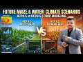 Future Maize Production Water Requirements Under RCP4 5 RCP8 5 Climate Change Crop Modeling