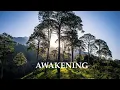 Download Lagu Awakening - Llewellyn Vaughan-Lee