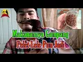 Download Lagu Makanan Yang DiGemari Tengkek Udang | Pelet Lele #HF-0058