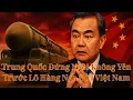 Download Lagu Trung Quốc Đứng Ngồi Không Yên Trước Lô Hàng Nga Gửi Việt Nam
